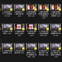 王晶大师课：流量破局人生由我掌控教程