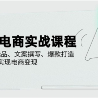 小红书电商实战课程，详解养号、选品、文案撰写、爆款打造，实现电商变现