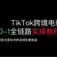 TikTok跨境电商从0-1全链路全方位实操教程，把握多元变化中的全球生意机会