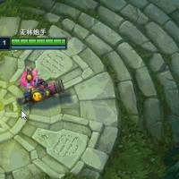 LOL幸运动态换肤支持14.14免费