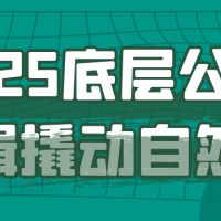 2025底层公式逻辑撬动自然流