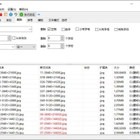 zRenamer v1.0绿色版 批量改名工具中文版