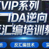 天草VIP系列IDA逆向与反汇编培训教程