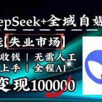 降维打击，DeepSeek+失业市场，全自动操作，结合人人刚需，单月利润轻松破100000＋