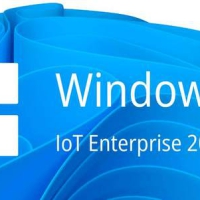 Win11 LTSC 2024(26100.4061) 小修精简版