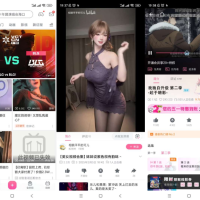 哔哩哔哩内置解锁大会员画质 番剧限制