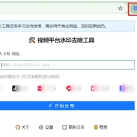 Chrome | 视频去水印_v1.0.5
