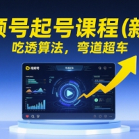 视频号起号课程（新版）吃透算法 弯道超车