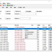 zRenamer批量改名工具中文版 v1.9.0绿色版