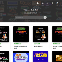 网页在线玩90后小霸王游戏