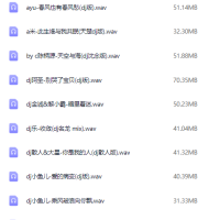 2025年车载必备326首抖音DJ嗨曲精选合集，劲爆热辣嗨翻你的音乐世界
