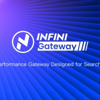 专为搜索场景设计的高性能网关go源码。Elasticsearch / Opensearch / Easysearch 的好朋友。最强搜索网关,没有之一