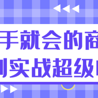 有手就会的商业计划实战超级BP