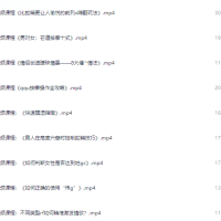 男性性技宝典：14招实战驭女术