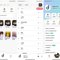 安卓魔音Morin 无损音质歌
