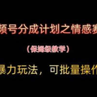 视频号分成计划之情感赛道暴力玩法，可批量操作，保姆级教学