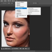 Photoshop 2025精简版 V26.3.0 绿色便携版
