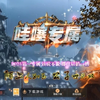 哇塞专属剧情攻速神器单职业版[GOM引擎]