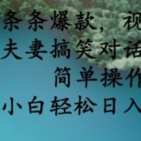 条条爆款，视频号夫妻搞笑对话项目，简单操作，小白轻松日入3张