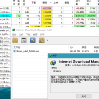 IDM中文版下载利器全球下载最快神器v6.42.58