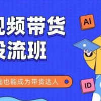 抖音快手短视频带货投流班零基础成为带货达人