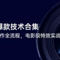 短视频爆款技术合集，热门视频制作全流程，电影级特效实战教程