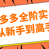 拼多多全阶实战从新手到高手