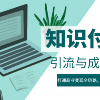 IP合伙人知识付费虚拟项目，引流与成交课程，打通商业变现全链路，实现业绩增长