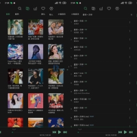 安卓洛雪音乐v1.7.0无损VIP音乐听五平台下载