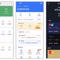 钱包模拟器1.7 余额整蛊神器多平台界面+真实截图
