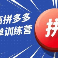 白凤电商拼多多日销千单训练营