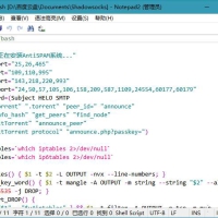 Notepad4(Notepad2中文版) v25.05 r5690