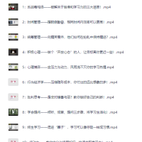 哈佛女神亲授 颠覆脑力 让你比别人聪明十倍的学习力