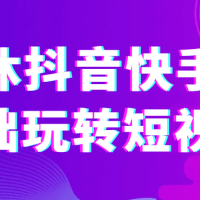 一休抖音快手零基础玩转短视频