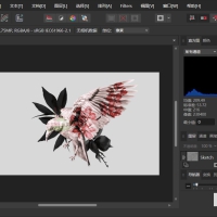 Affinity Photo v2 6 3 3322绿色便携版 专业图片处理工具
