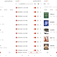 灵狐小说app 满足你的阅读喜好