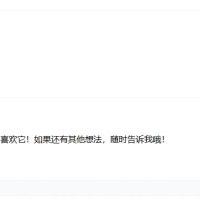 [WP]插件，AI自动评论回复，对游客客户友好评论