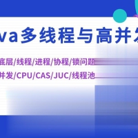 Java马士兵Java多线程与高并发从入门到精通