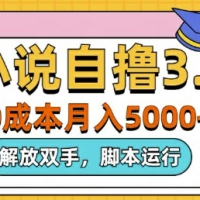 小说自撸3.0，解放双手，不浪费时间，适合大众