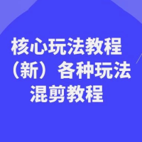 暴富·团队-核心玩法教程（新版）及多种玩法混剪教程（共69节课）