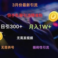 快手视频私信引流方法精准粉，当日奏效不用上传视频打金引流法日引300