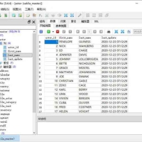 SQLiteStudio中文强大SQLite数据库可视化工具
