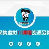 闲鱼采集虚拟IT课程资源另类玩法