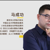 马成功《培训管理：从入门到精通》视频