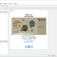 Dbeaver community v25.1.2绿色版