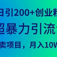 超暴力引流法，日引 300+ 创业粉，卖项目月入 10W+