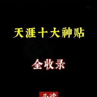 天涯论坛10大神贴28个G