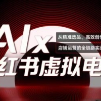 单号月收3w+，小红书低成本搞钱课《AI×小红书虚拟电商》全套