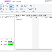 TreeSize Professional v9.5.0.2102绿色版