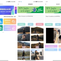 净印短视频去水印工具-图集一件解析